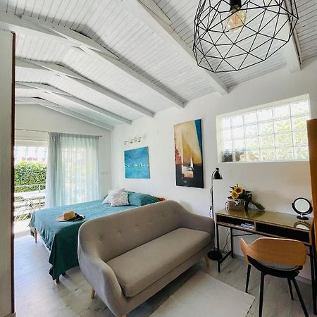 Pasiflora Studio Novigrad Istria Eksteriør bilde