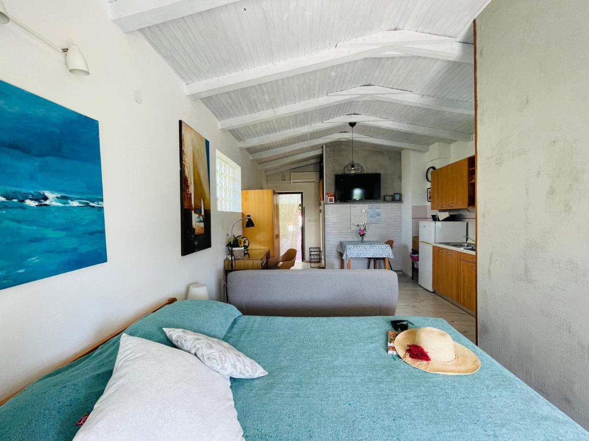 Pasiflora Studio Novigrad Istria Eksteriør bilde