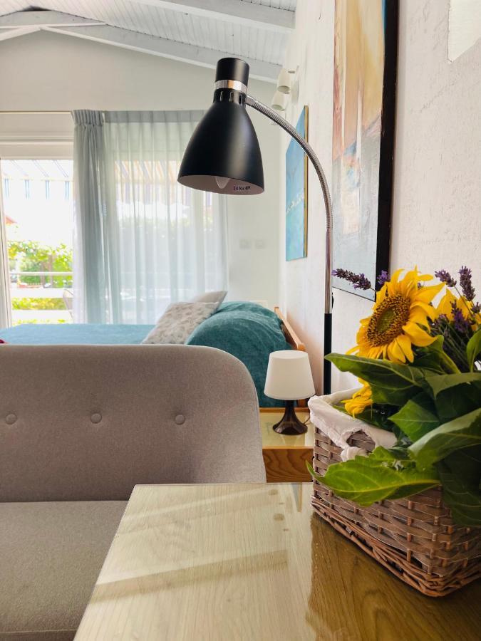 Pasiflora Studio Novigrad Istria Eksteriør bilde