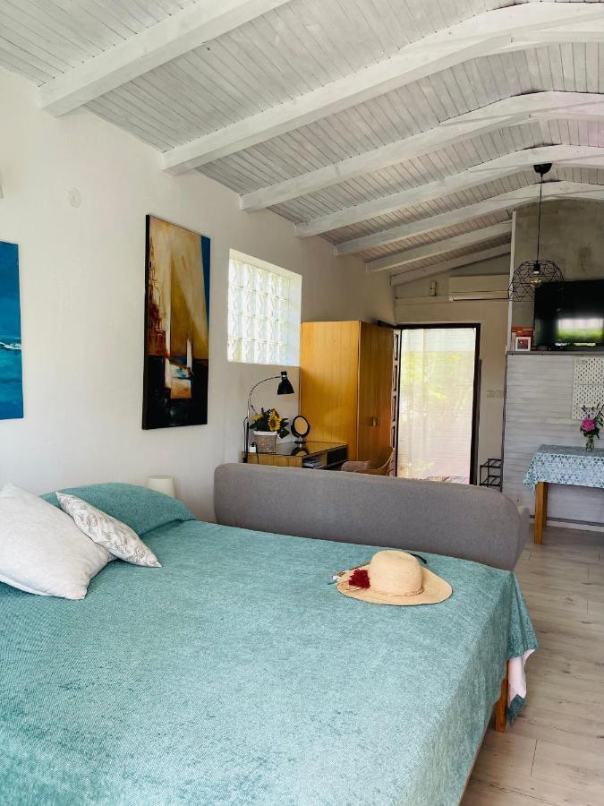 Pasiflora Studio Novigrad Istria Eksteriør bilde